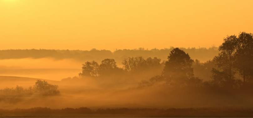 F5010 Annette Ranten Morning fog